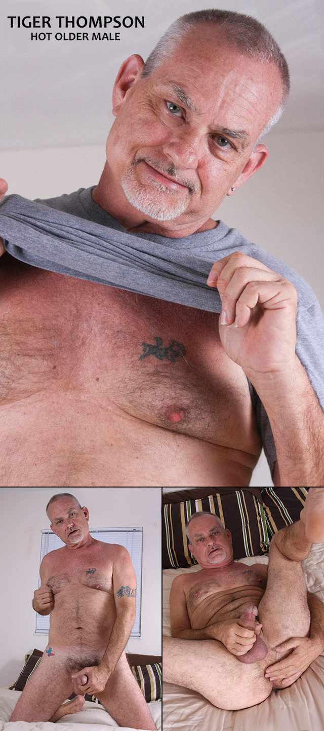 hot older porn hair porn older gay hairy hardcore hot male thompson daddy grey collages fox tiger hotoldermale silver