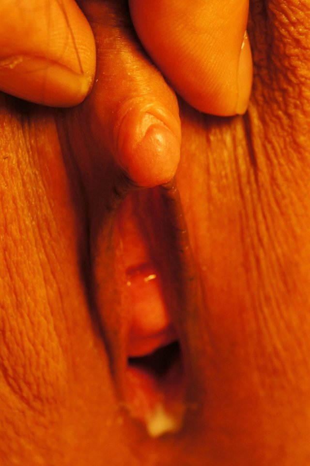 lick mature porn photos photo lick nice clit