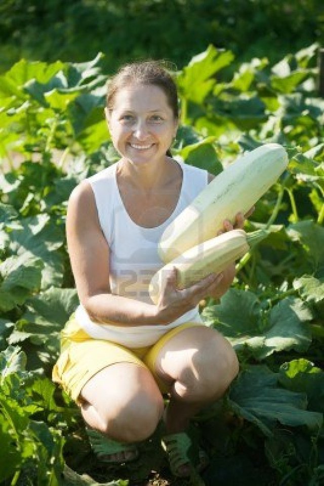 france mature mature woman photo plant jackf picking vegetable marrow