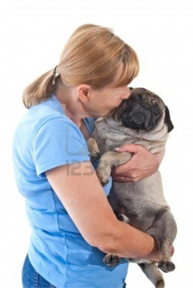 lady mature lady mature photo white background dog isolated cuddling astrocady pug