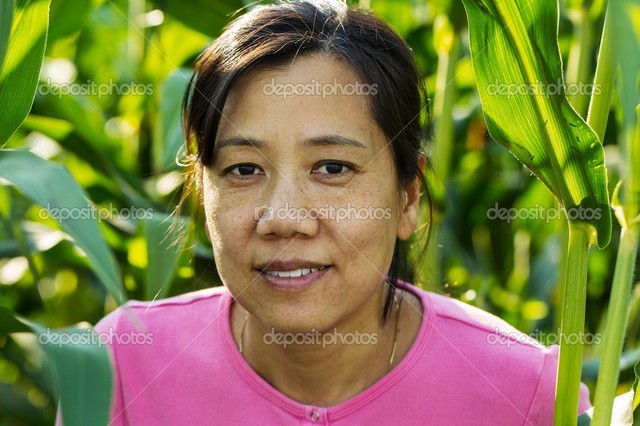 mature asian mature women photo asian depositphotos stock field corn