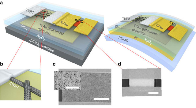 mature flexible extreme flexible chip whats better transparent hybrid igzo cnt transistor carbon nanotube
