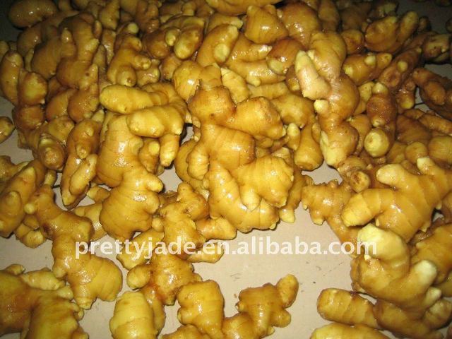 mature ginger mature photo ginger product