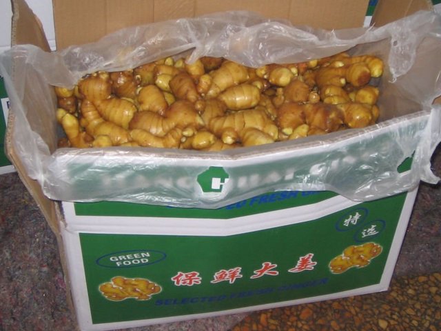 mature ginger mature fat ginger product
