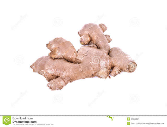 mature ginger mature photo white ginger background isolated stock root