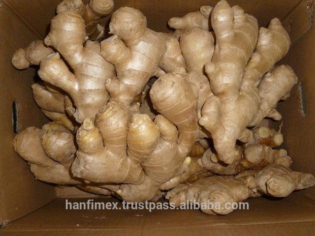 mature ginger mature ginger detail half fresh product dry vietnam izf cxxagofbxs