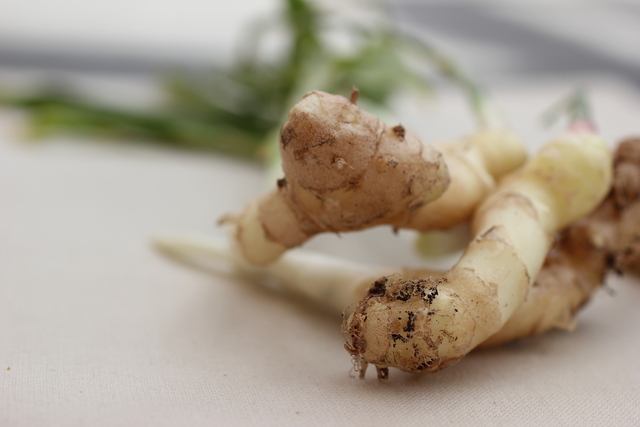 mature ginger ginger baby napa slaw