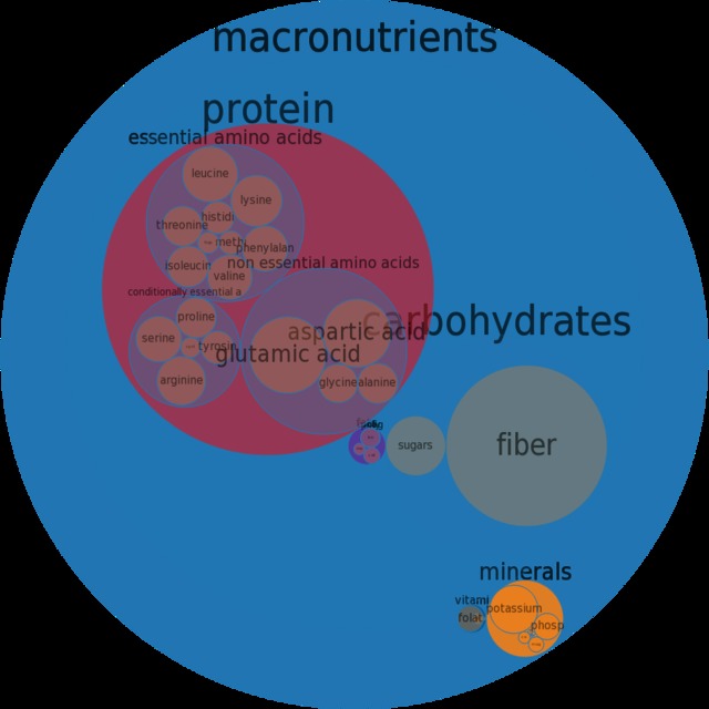 mature red mature red food weight raw seeds chart circle kidney nutrition foods circlechart beans macronutrient micronutrient composition