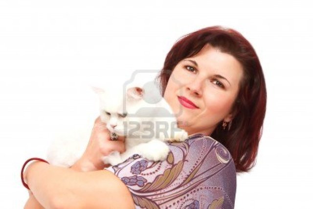 mature redhead mature photo beautiful white redhead cat isolated holding igabriela