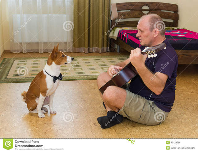 mature young mature free young man playing music dog stock royalty guitar composing