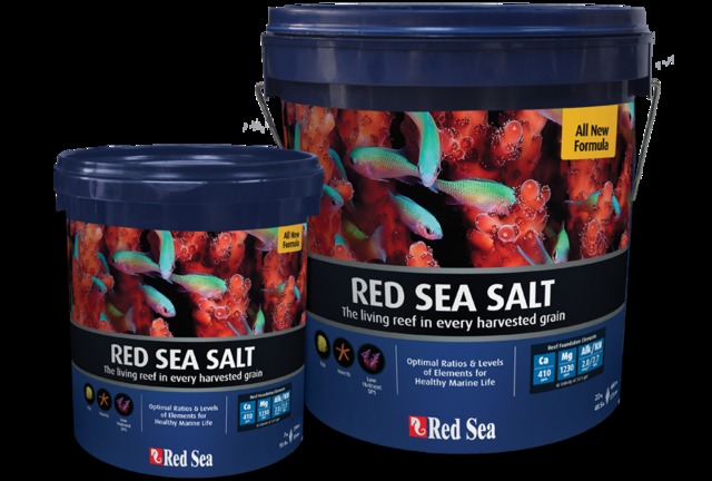 red mature red salts salt sea