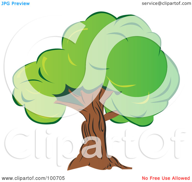 thick mature mature free old thick green portfolio tree royalty illustration clipart foliage milsiart