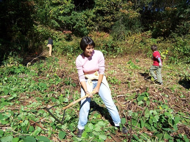 tina mature about tina park places franklin cgxfpctheme knotweed wilderness