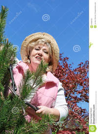 free mature picture porn womans mature woman gardening royalty free stock photography