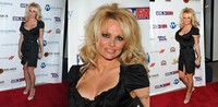 mature porn action mature porn seasoned action pamela anderson photo