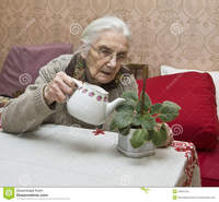 old lady in porn old lady watering flower european viola home