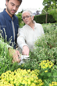 older woman younger woman porn depositphotos young man gardening older woman younger