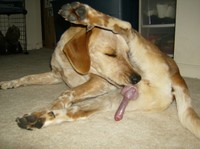 deep fucked get leg mature porn spreading star very red rocket category search terms