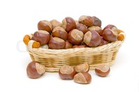 mature close up preview mature chestnuts wicker basket close white background