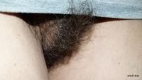 mature vulva pictures sandbox hairy pussy pictures mature women pussys vulva