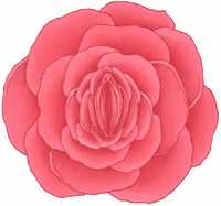 mature vulva pictures vagina facts about may know