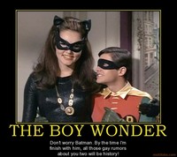 milf with pics original boy wonder batman robin catwoman milf older woman gay demotivational poster forums imagine superpower
