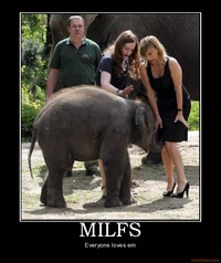 pic of milfs demotivational poster milfs