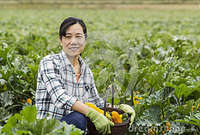 picture of mature women mature women basket vegetables stock photos