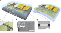 mature flexible igzo cnt transistor hybrid chip extreme whats better carbon nanotube transparent flexible