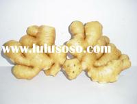 mature ginger upload chinese mature fresh ginger products