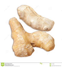 mature ginger mature root ginger cooking more similar stock