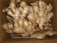 mature ginger izf cxxagofbxs product detail vietnam fresh mature ginger half dry