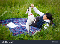 mature old stock photo mature woman years old playing dog jack russell terrier nature summer evening pic