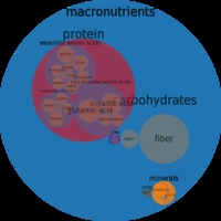 mature red nutrition foods circlechart beans kidney red mature seeds raw macronutrient micronutrient food composition weight circle chart