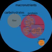 mature red nutrition foods circlechart beans kidney royal red mature seeds cooked boiled salt macronutrient micronutrient food composition weight circle chart