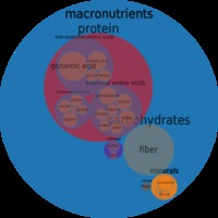 mature red nutrition foods circlechart pigeon peas red gram mature seeds raw macronutrient micronutrient food composition weight circle chart