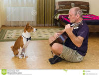 mature young young dog mature man composing music playing guitar royalty free stock