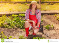 outdoor mature woman gardening tool working garden mature wearing hat red rubber boots backyard outdoor royalty free stock photos