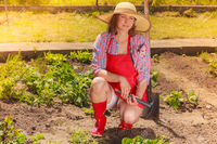 outdoor mature anetlanda mature woman wearing hat red rubber boots gardening tool working backyard garden outdoor stock photo