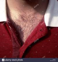 red mature hairy comp detail hairy chest red shirt stock photo