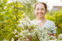 sweet mature jackf happy mature gardener meadowsweet plant garden stock photo