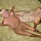 Naked Mature Porn