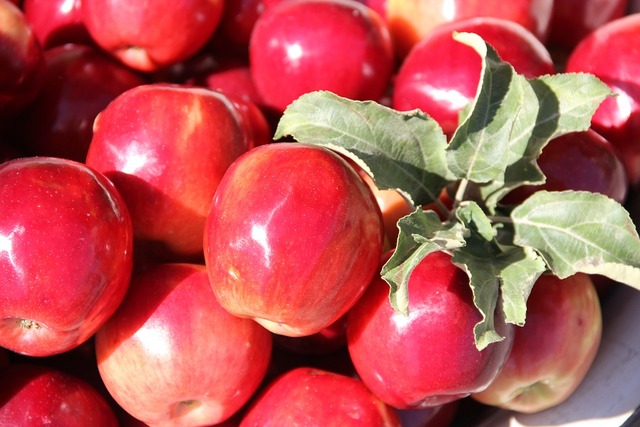 red mature mature photo red autumn apple fruit