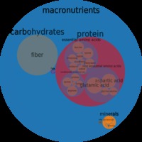 red mature nutrition foods circlechart beans kidney royal red mature seeds cooked boiled without salt macronutrient micronutrient food composition weight circle chart