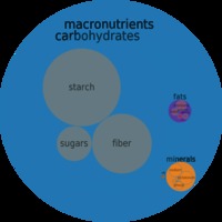 red mature nutrition foods circlechart beans kidney red mature seeds canned macronutrient micronutrient food composition weight circle chart