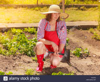 red mature comp mature woman wearing hat red rubber boots gardening tool working stock photo