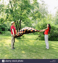 spreading mature comp side profile mature man his daughter spreading picnic blanket stock photo