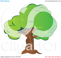 thick mature royalty free clipart illustration mature old tree thick green foliage portfolio milsiart
